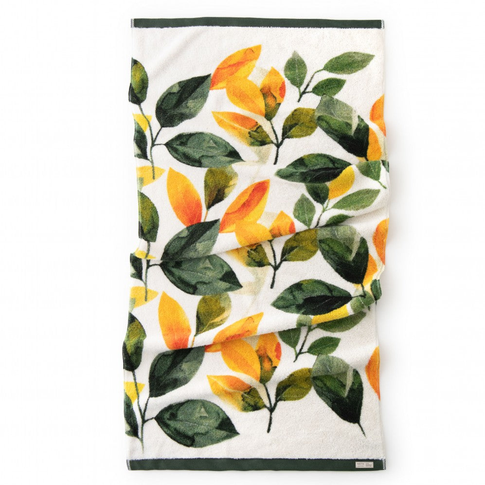 Idei de Prosoape de Baie pentru Case Eco care Chiar Rezistă în 2026